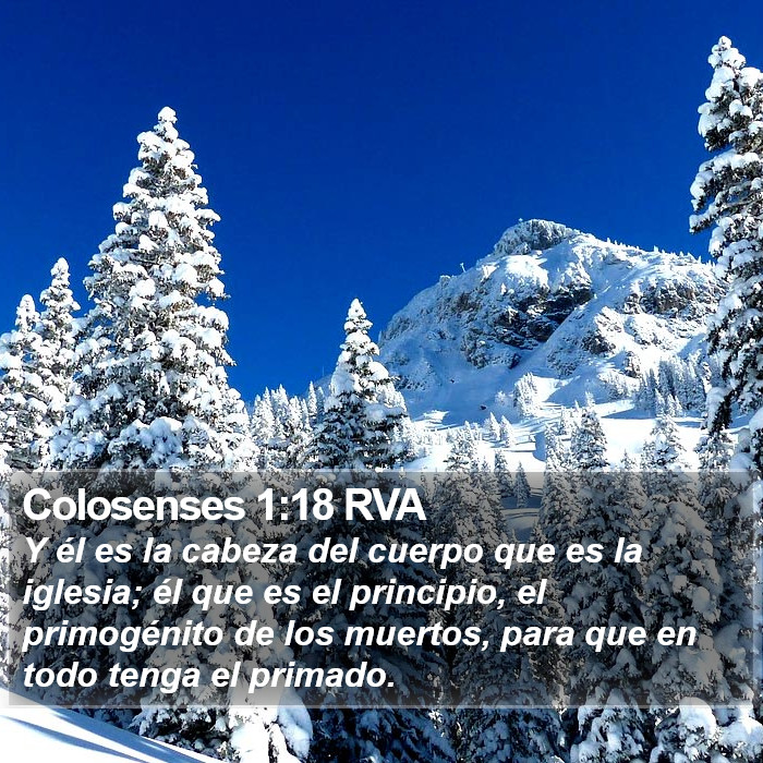 Colosenses 1:18 RVA Bible Study