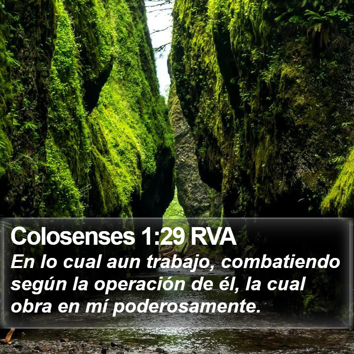 Colosenses 1:29 RVA Bible Study