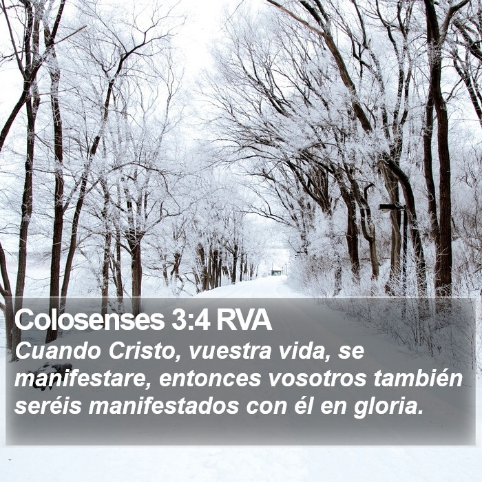 Colosenses 3:4 RVA Bible Study