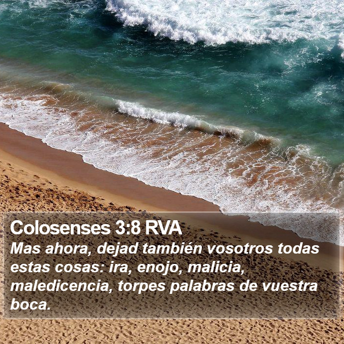 Colosenses 3:8 RVA Bible Study