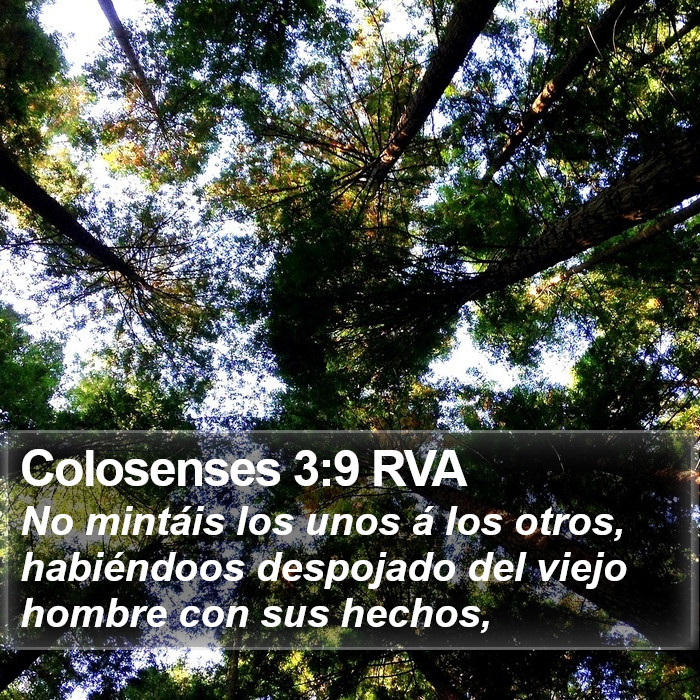 Colosenses 3:9 RVA Bible Study