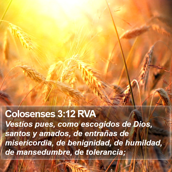 Colosenses 3:12 RVA Bible Study