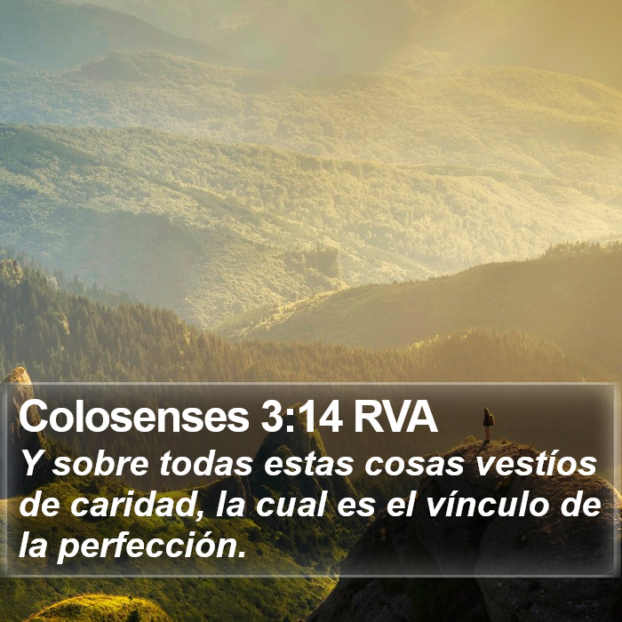 Colosenses 3:14 RVA Bible Study