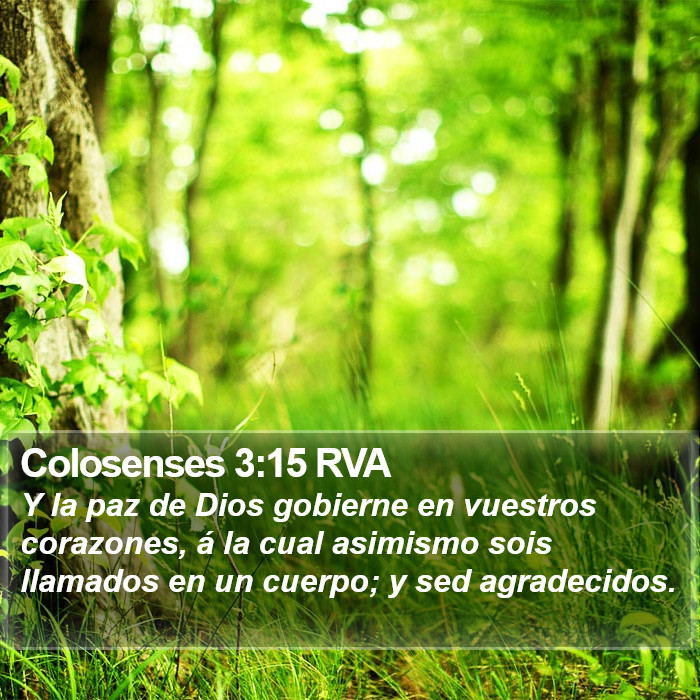 Colosenses 3:15 RVA Bible Study