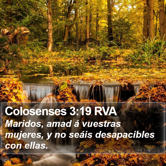 Colosenses 3:19 RVA Bible Study