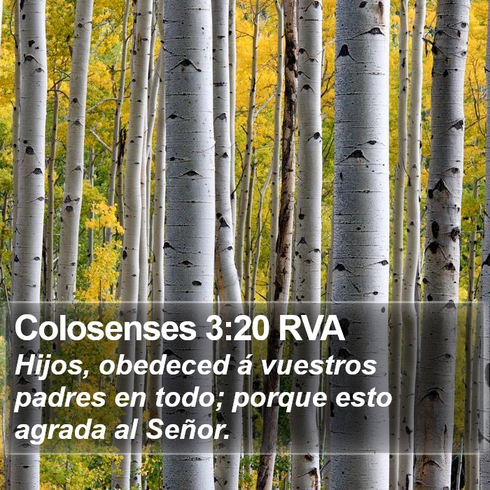 Colosenses 3:20 RVA Bible Study