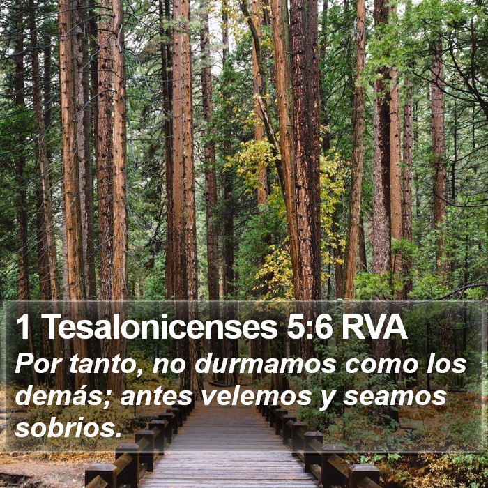 1 Tesalonicenses 5:6 RVA Bible Study