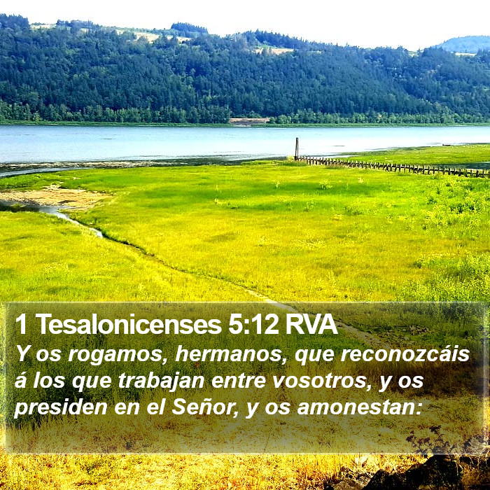 1 Tesalonicenses 5:12 RVA Bible Study