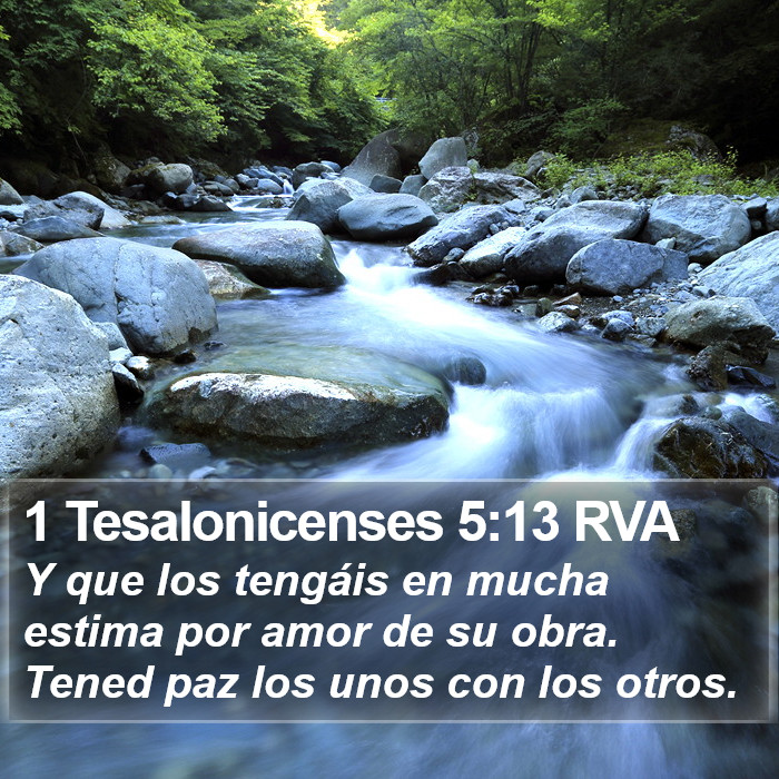 1 Tesalonicenses 5:13 RVA Bible Study