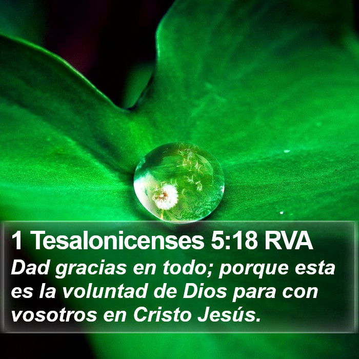 1 Tesalonicenses 5:18 RVA Bible Study