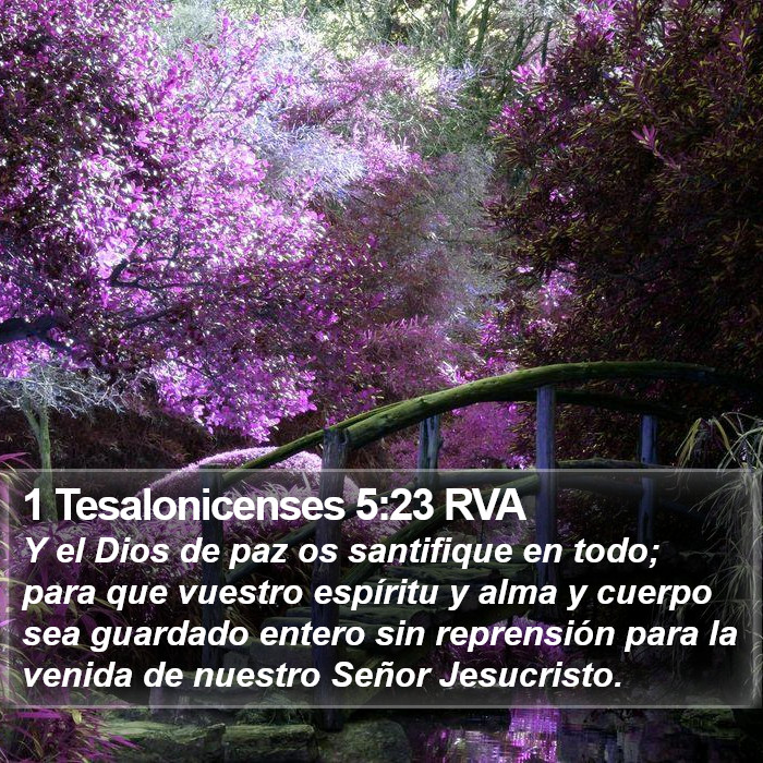 1 Tesalonicenses 5:23 RVA Bible Study