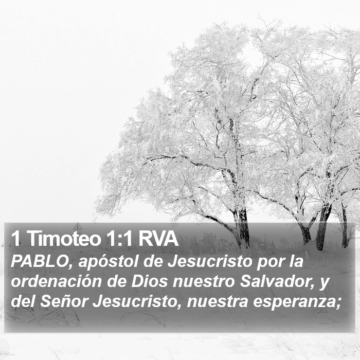 1 Timoteo 1:1 RVA Bible Study