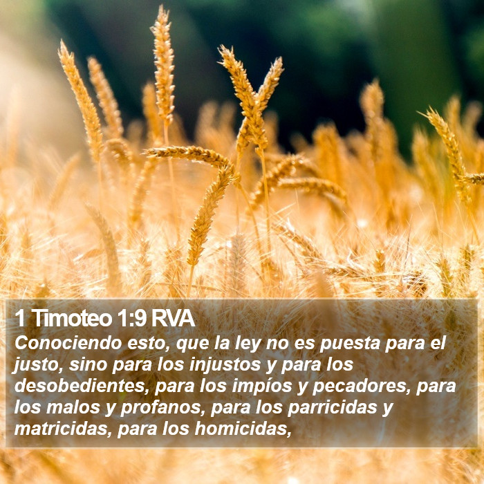 1 Timoteo 1:9 RVA Bible Study