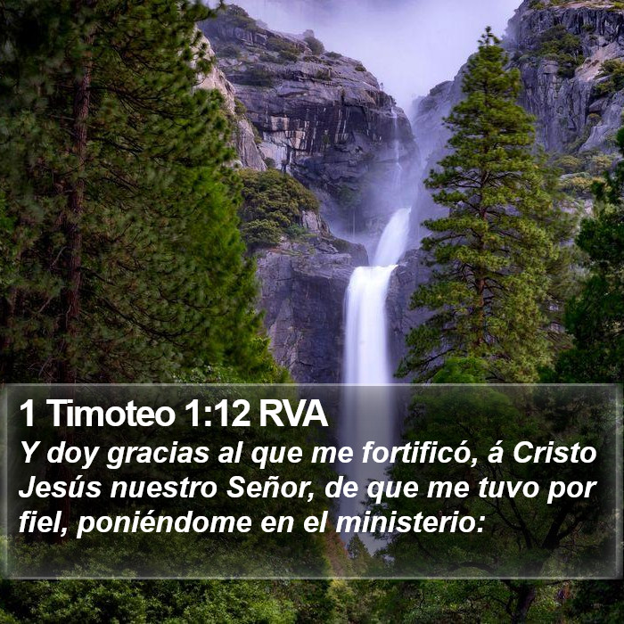 1 Timoteo 1:12 RVA Bible Study