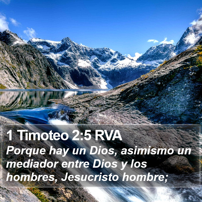 1 Timoteo 2:5 RVA Bible Study