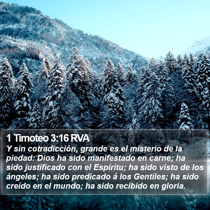 1 Timoteo 3:16 RVA Bible Study