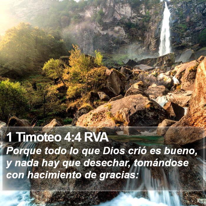 1 Timoteo 4:4 RVA Bible Study