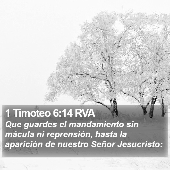 1 Timoteo 6:14 RVA Bible Study