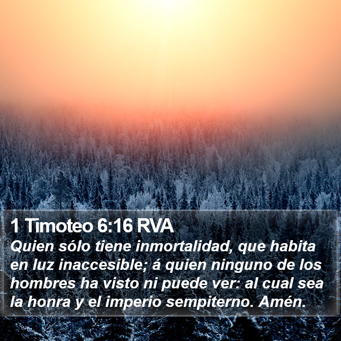 1 Timoteo 6:16 RVA Bible Study