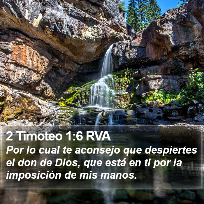 2 Timoteo 1:6 RVA Bible Study