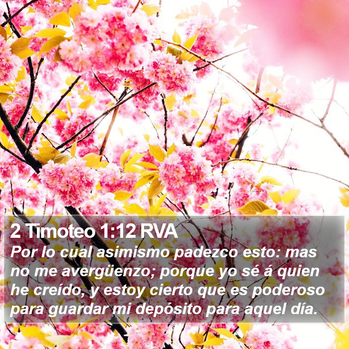 2 Timoteo 1:12 RVA Bible Study