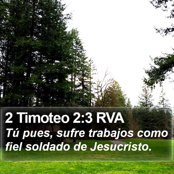 2 Timoteo 2:3 RVA Bible Study