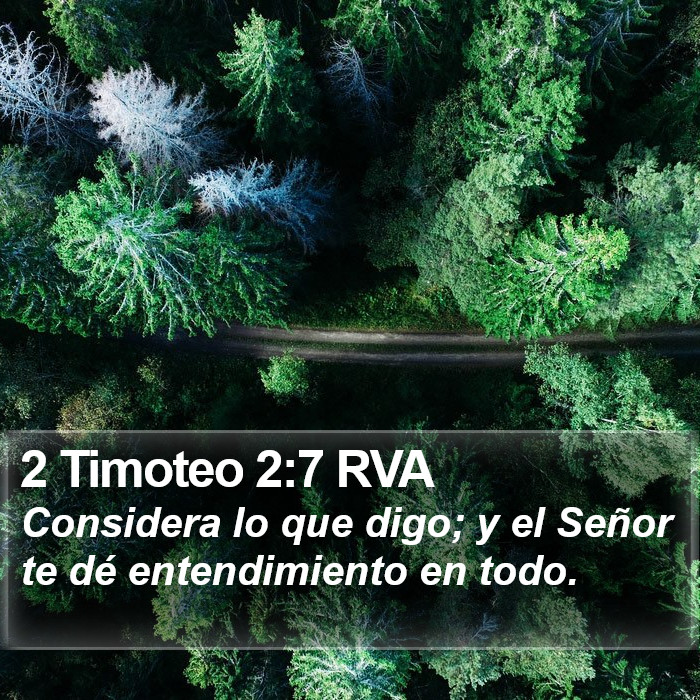 2 Timoteo 2:7 RVA Bible Study