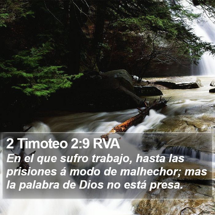 2 Timoteo 2:9 RVA Bible Study