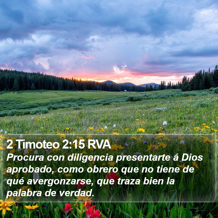 2 Timoteo 2:15 RVA Bible Study