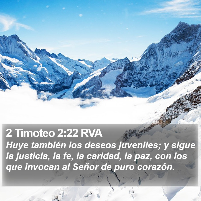 2 Timoteo 2:22 RVA Bible Study