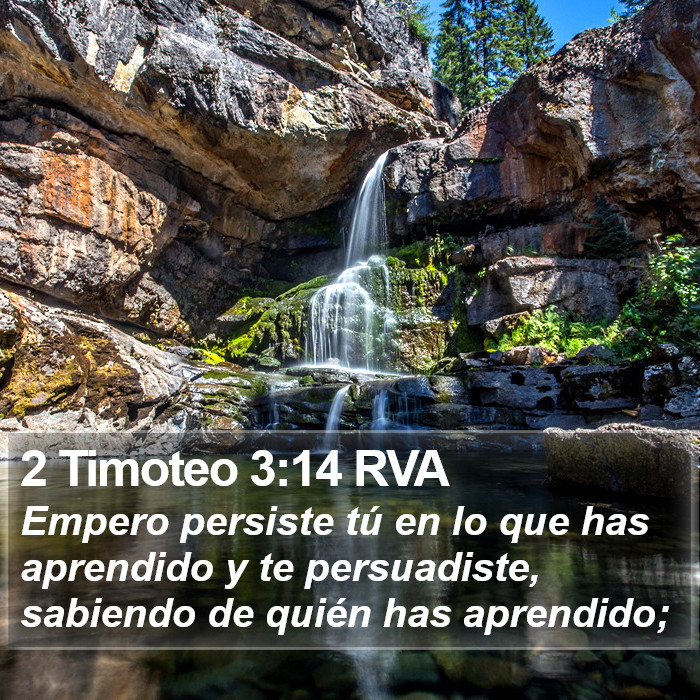 2 Timoteo 3:14 RVA Bible Study