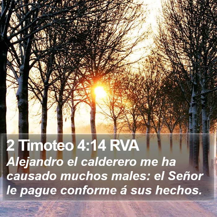 2 Timoteo 4:14 RVA Bible Study