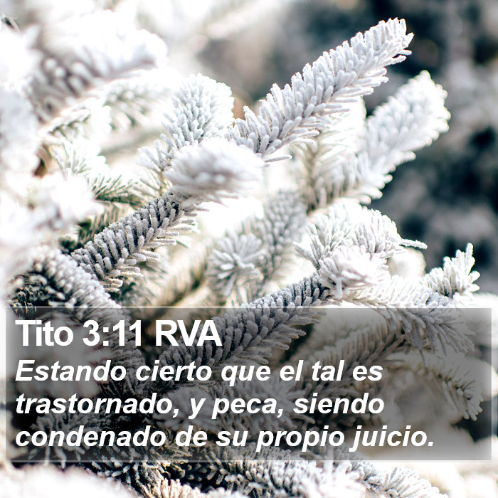 Tito 3:11 RVA Bible Study