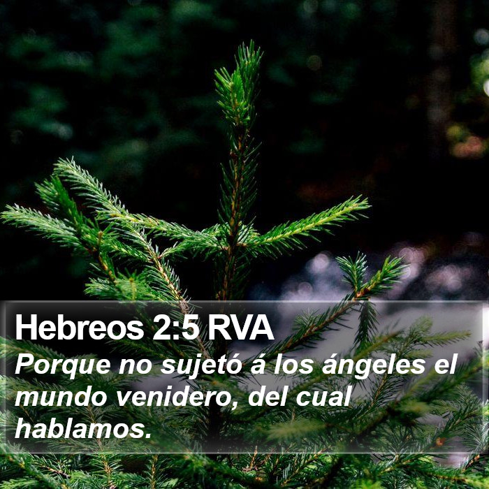 Hebreos 2:5 RVA Bible Study