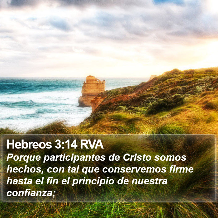 Hebreos 3:14 RVA Bible Study
