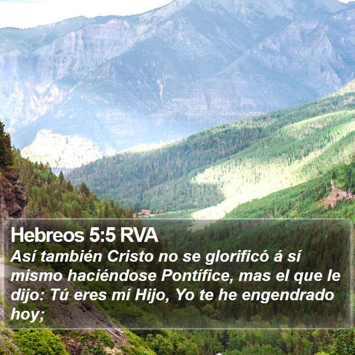 Hebreos 5:5 RVA Bible Study