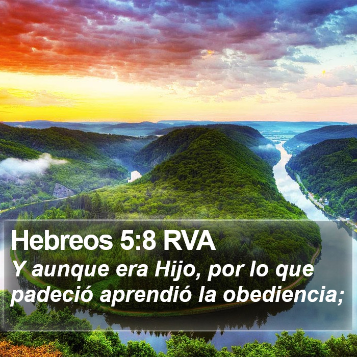 Hebreos 5:8 RVA Bible Study