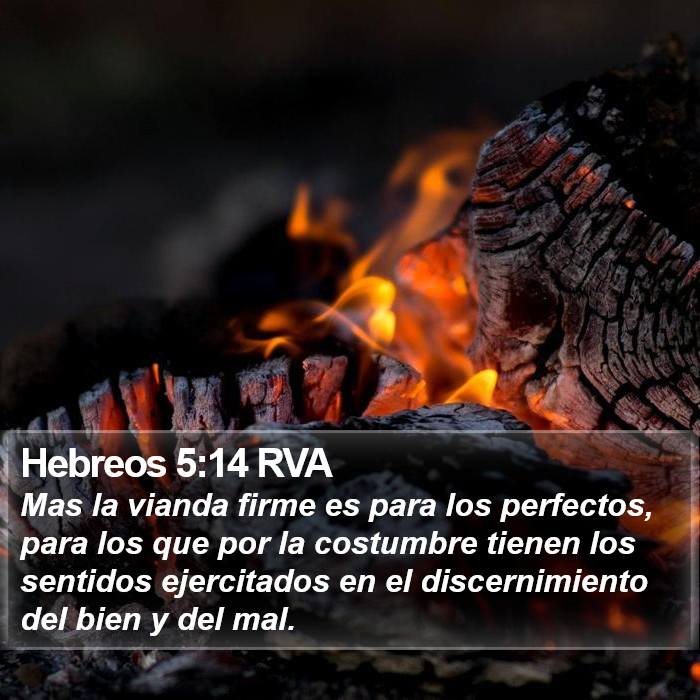 Hebreos 5:14 RVA Bible Study