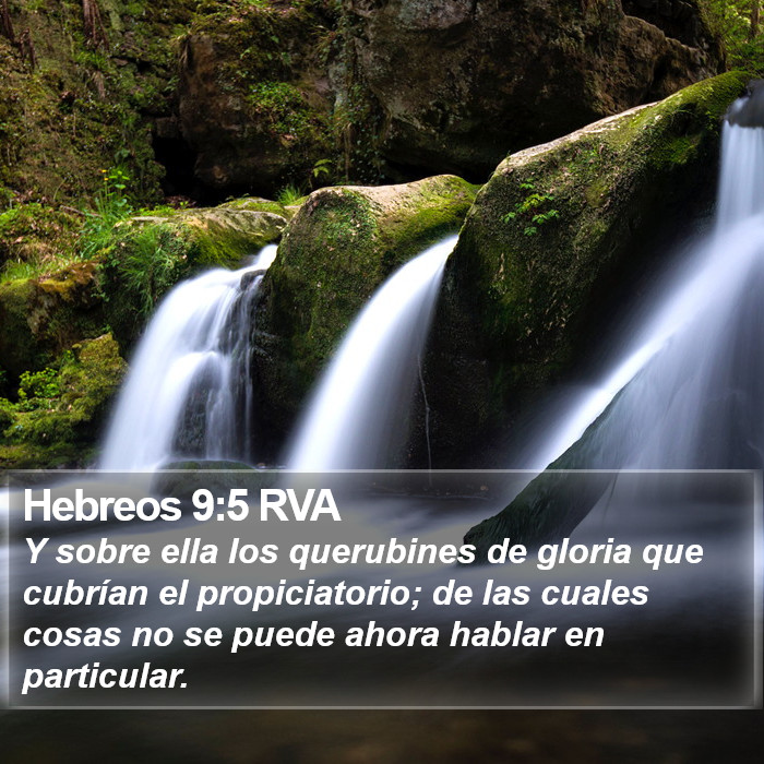 Hebreos 9:5 RVA Bible Study