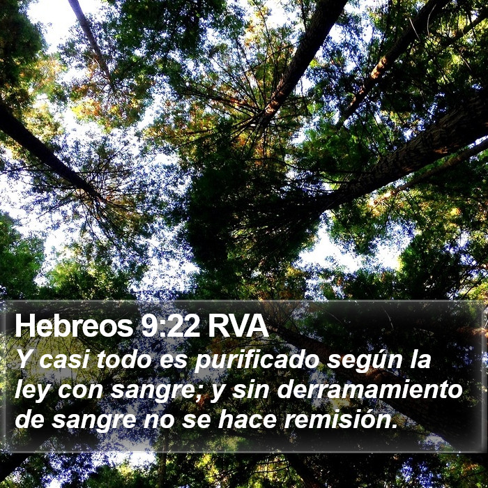 Hebreos 9:22 RVA Bible Study