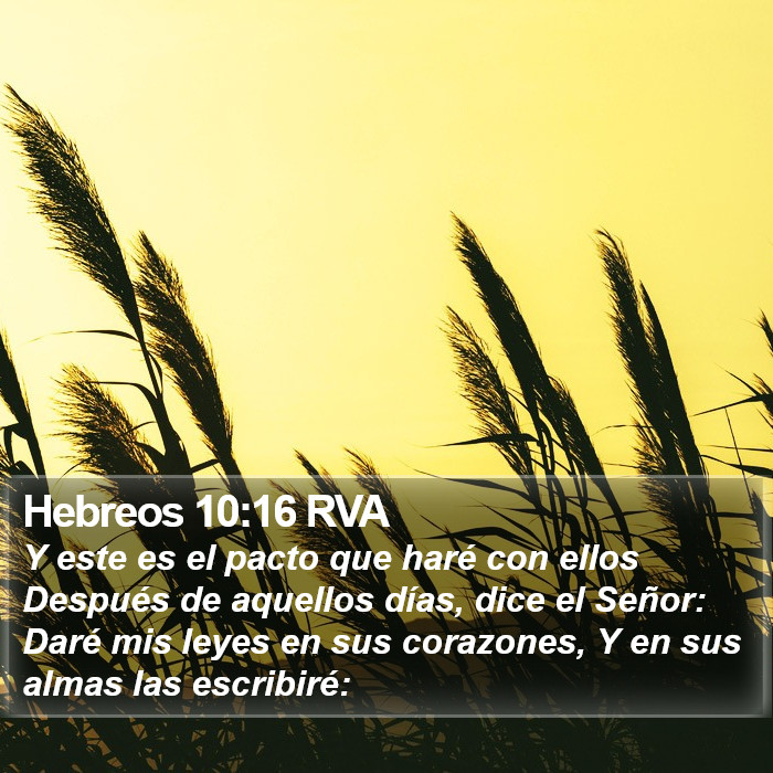 Hebreos 10:16 RVA Bible Study