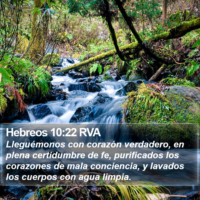 Hebreos 10:22 RVA Bible Study