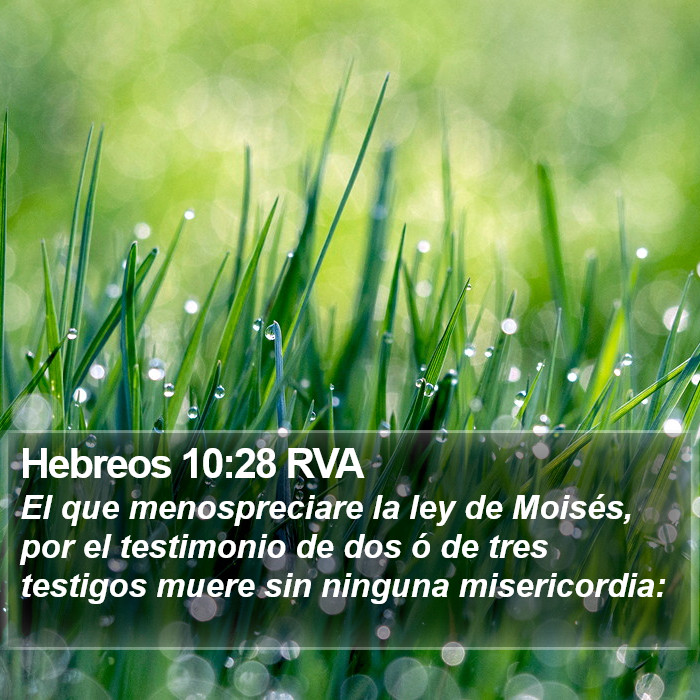 Hebreos 10:28 RVA Bible Study