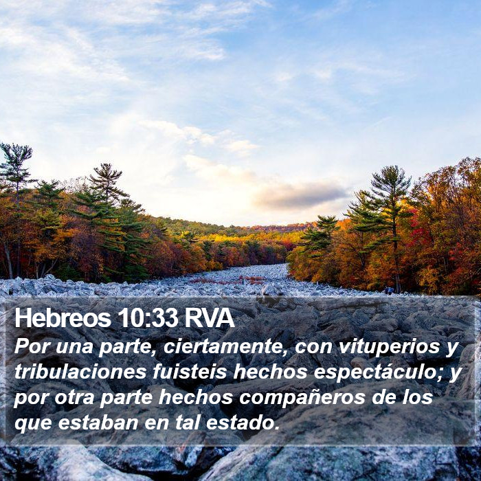 Hebreos 10:33 RVA Bible Study