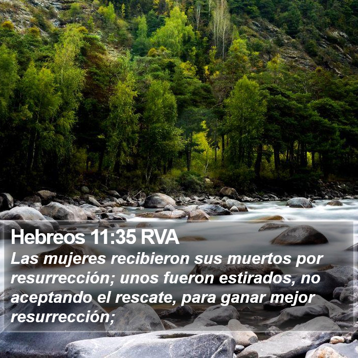 Hebreos 11:35 RVA Bible Study