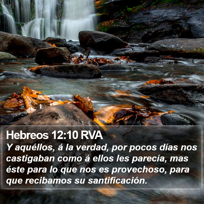Hebreos 12:10 RVA Bible Study