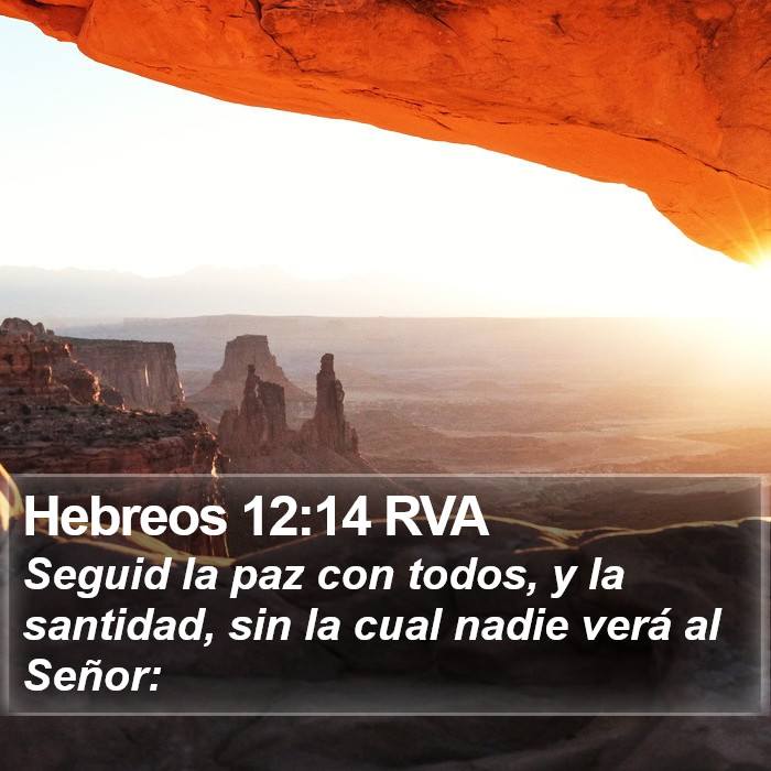 Hebreos 12:14 RVA Bible Study