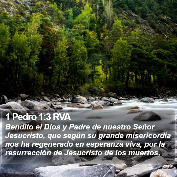 1 Pedro 1:3 RVA Bible Study