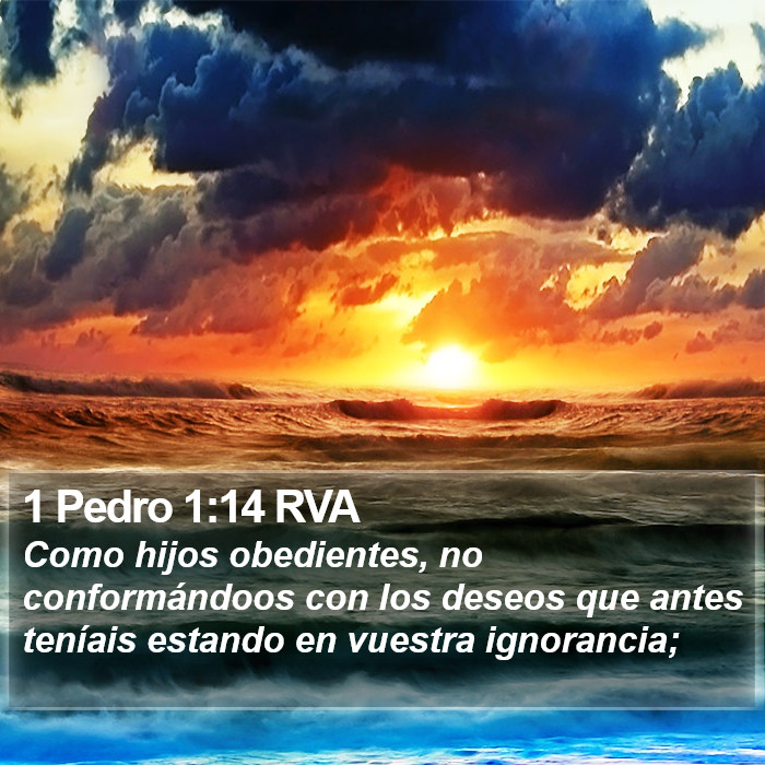 1 Pedro 1:14 RVA Bible Study