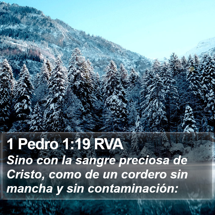 1 Pedro 1:19 RVA Bible Study